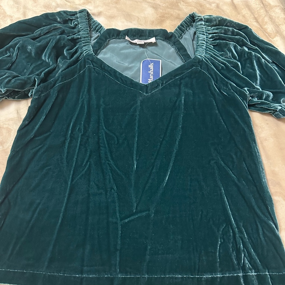LOFT Teal Velvet Top